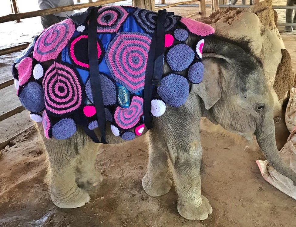 elephant sweaters