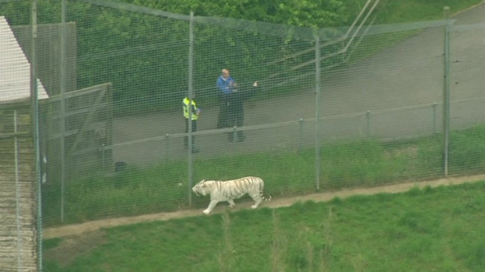 Hamerton Zoo evacuated after 'serious incident' BBC News
