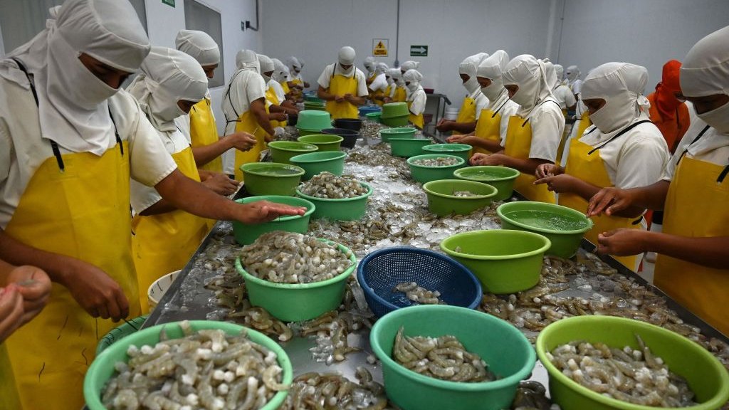 北京稱會協助洪都拉斯白蝦進入中國市場。