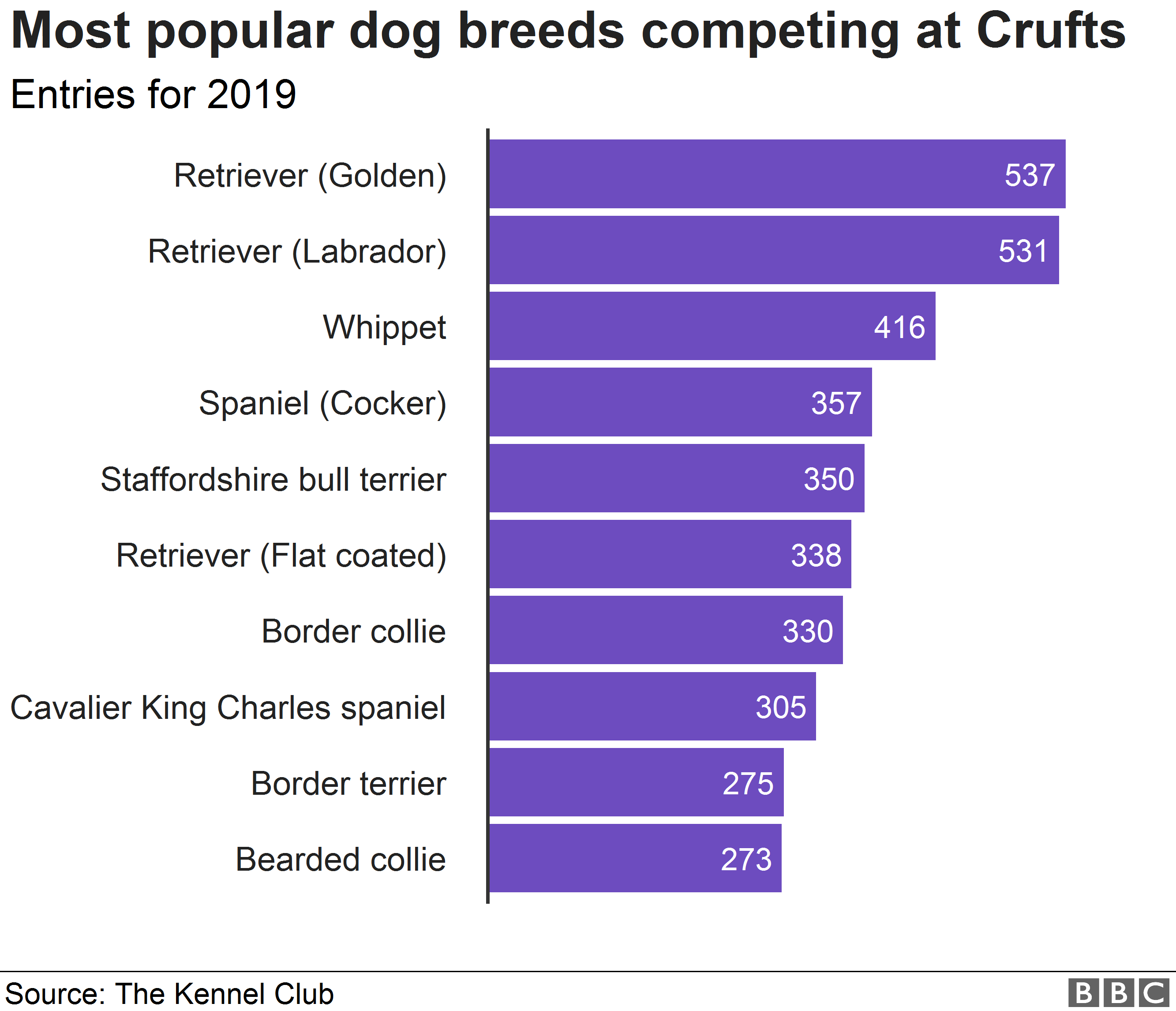 bbc crufts
