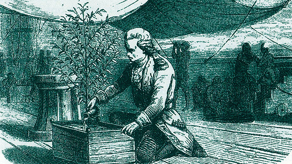 Gabriel-Mathieu Francois D'ceus de Clieu