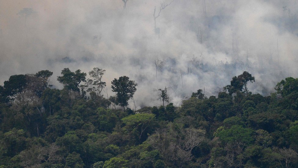 Vista aérea de humo en la Amazonía.