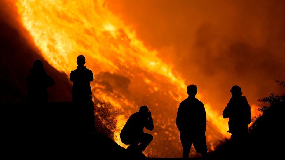 ABD'nin batı sahilini saran büyük yangınlar bir çok insanı yerinden ettiği gibi, canlıların yaşam ortamlarını yok etti
