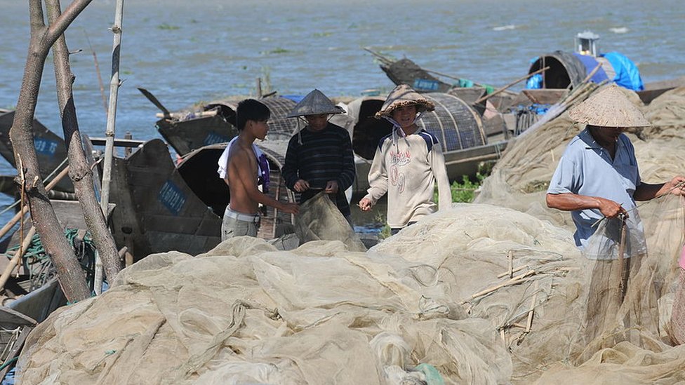 Los pescadores que conoció la especialista de la OIM en Costa Rica procedían de Asia. Foto genérica de pescadores en Vietnam. Pescadores en Vietnam