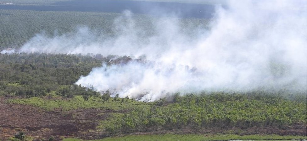 Пожар в Регентстве Муси Баньюасин, Южная Суматра, Индонезия (8 августа 2016 г.)