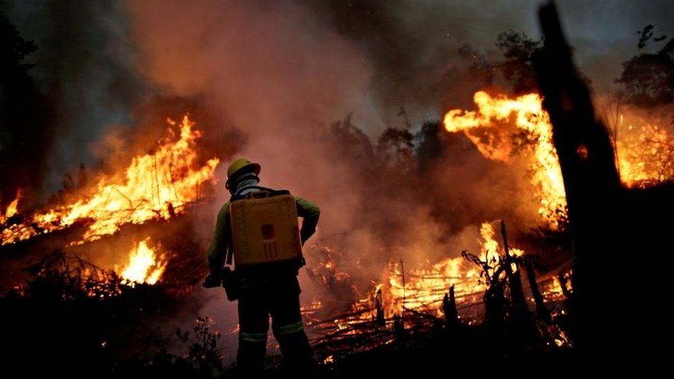 Funcionário do Ibama tenta apagar chamas na Amazônia