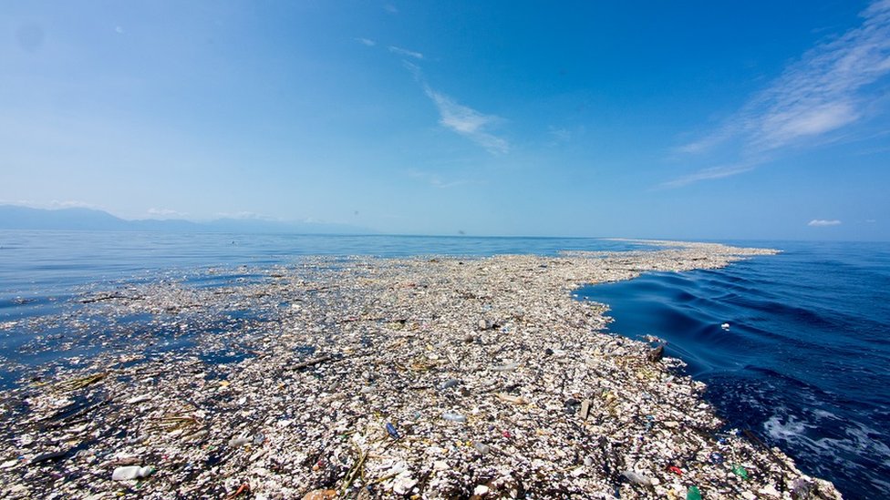 Guatemala asegura que contralará los vertimientos de basura hacia el mar Caribe a partir del próximo año. Foto cortesía de Caroline Power. basura flotando