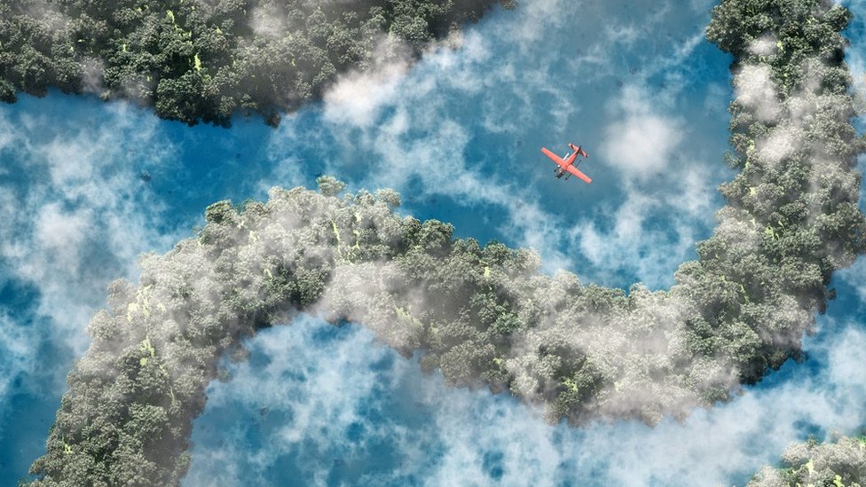 Imagen aérea del Amazonas.