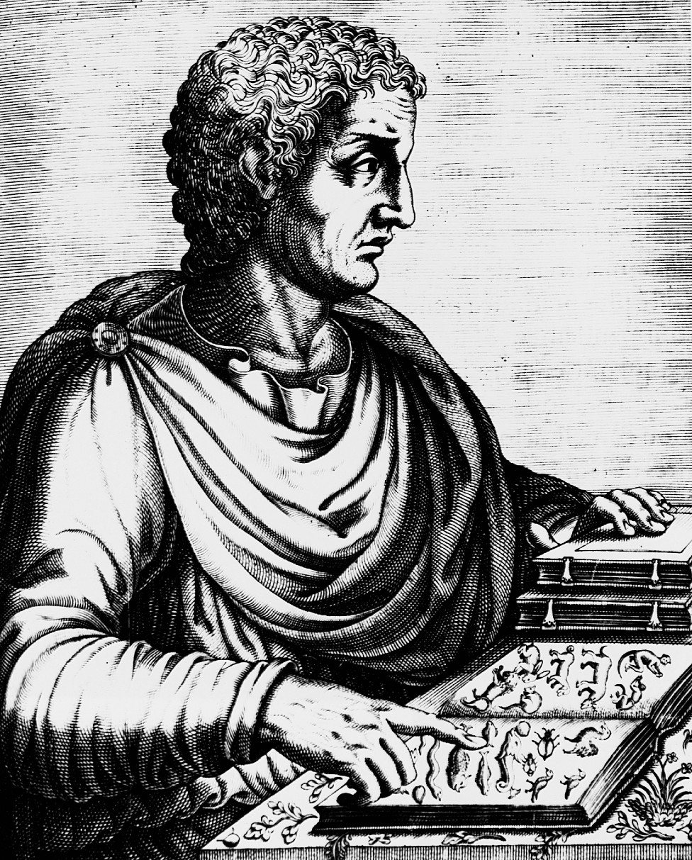 Ilustración de Plinio el Viejo