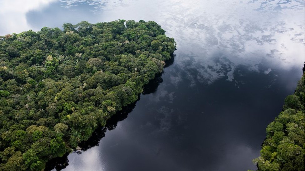 姆班達卡附近Lokolama/Penzele泥炭地森林的鳥瞰圖. © Daniel Beltrá / Greenpeace Africa 2017