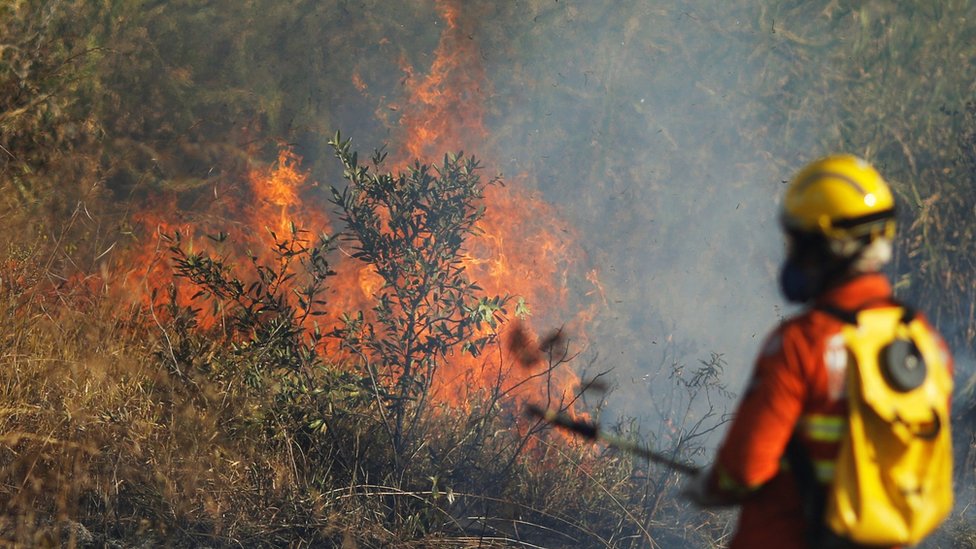 A firefighter attempts to extinguish flames during the dry season in Brasilia, Brazil, on 2 August