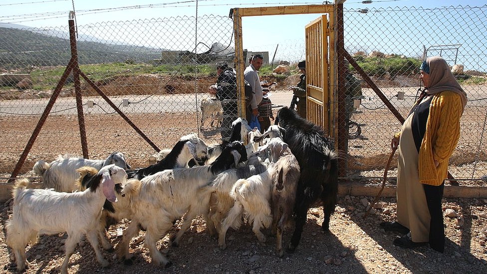 Una de las puertas para que pase el ganado. Puerta de acceso para el ganado