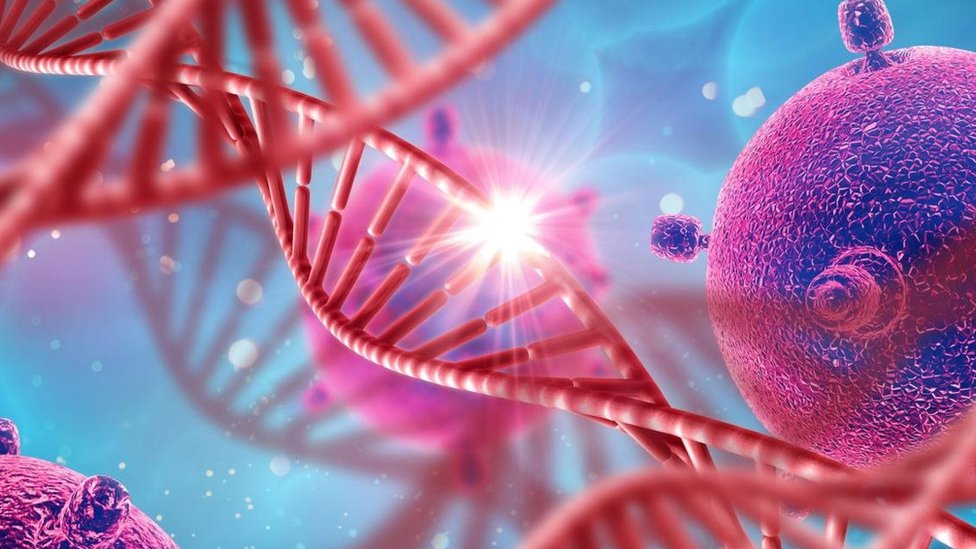 Los abogados pueden argumentar que sus clientes acusados tienen una formación genética que los predispone a una conducta impulsiva, pero no está claro si esto funciona como defensa. Genes