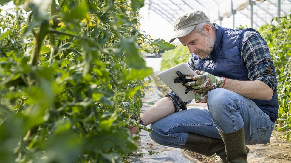 Hombre en el campo con notebook