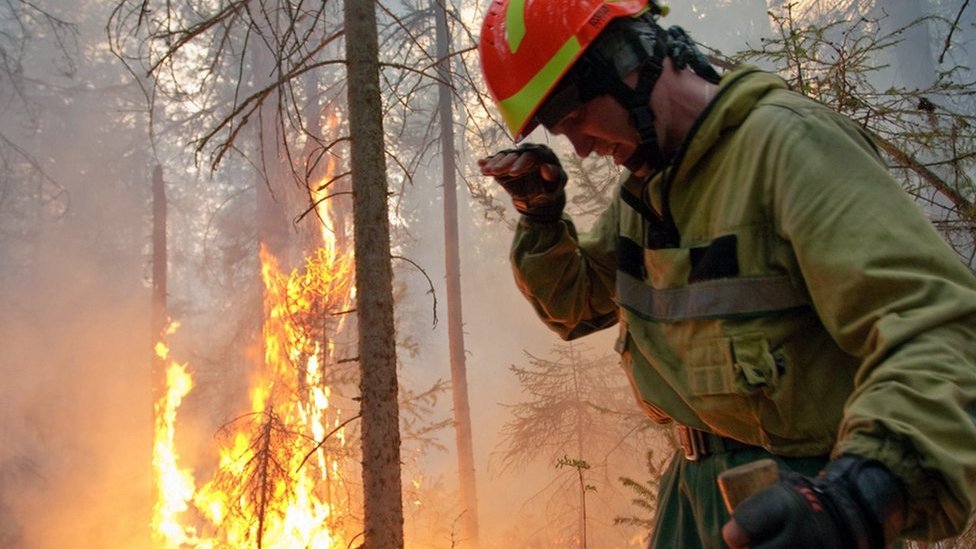 Siberia wildfires: Russians battle to contain the blazes