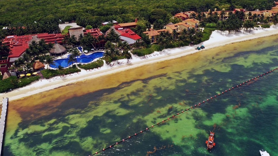 Вид с воздуха на защитный барьер, чтобы попытаться удержать Саргассум подальше от пляжа в роскошном отеле в Пуэрто-Морелос, штат Кинтана-Роо, Мексика, 15 мая