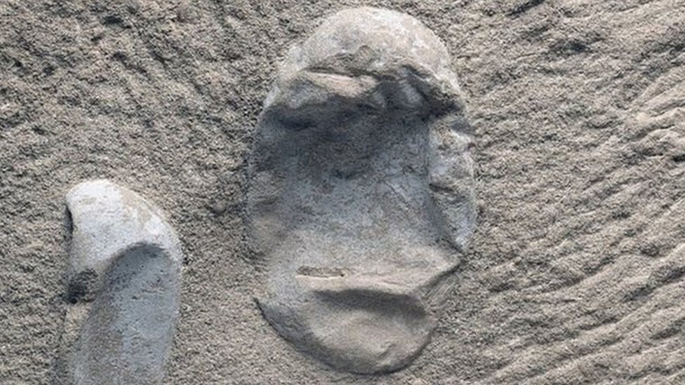 Los huevos de pterosaurio son frágiles. De los cerca de 200 huevos hallados en China, 16 tenían restos de embriones. Foto: Alexander Kellner, Museu Nacional, UFRJ Huevos de pterosaurio hallados en China Foto: Alexander Kellner, Museu Nacional, UFRJ