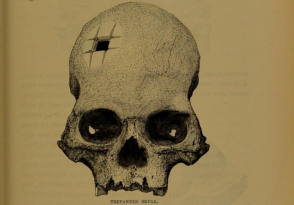 Dibujo del cráneo del libro de Squier