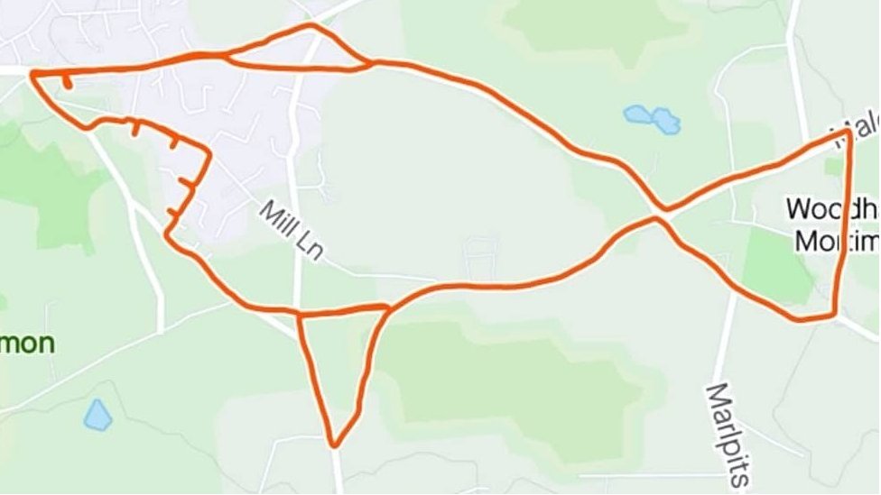 Image result for strava art