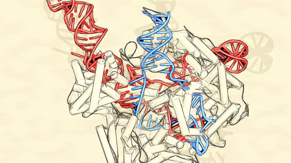 Hay ecos de la lógica que justificaba manipular la reproducción para mejorar a los humanos en los proyectos de edición genética... pero ahora contamos con la lección que nos dejó la historia. edición genética