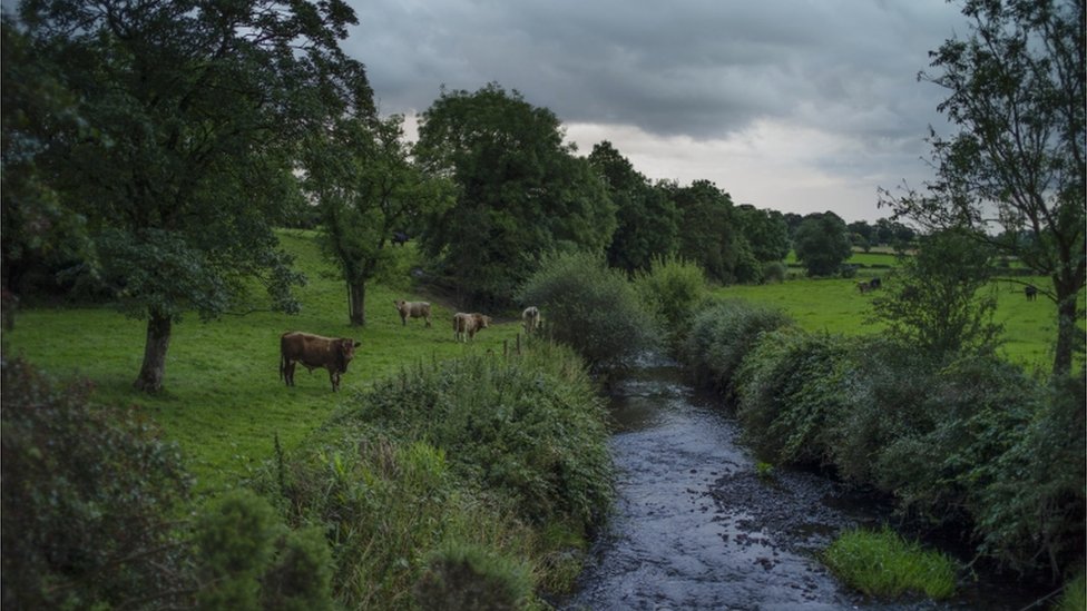 Река протекает между двумя полями, одно в Северной Ирландии, а другое в Ирландской Республике