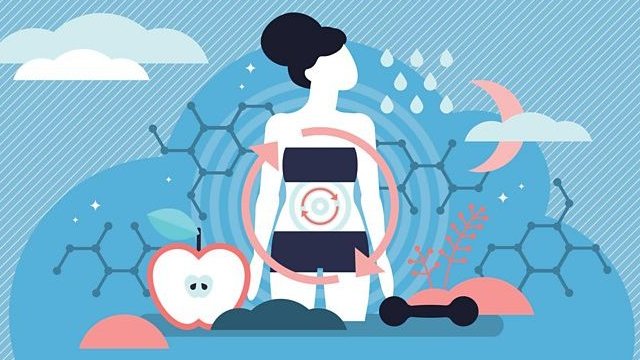 هل يمكن تسريع وتيرة التمثيل الغذائي؟ 1 هل يمكن تسريع وتيرة التمثيل الغذائي؟