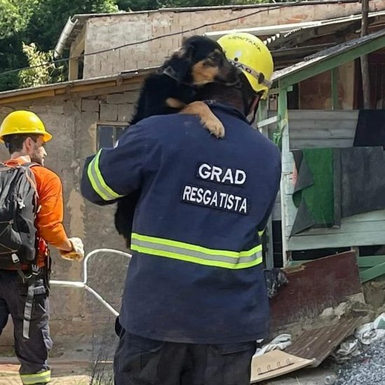 Cachorro sendo resgatado em Petrópolis