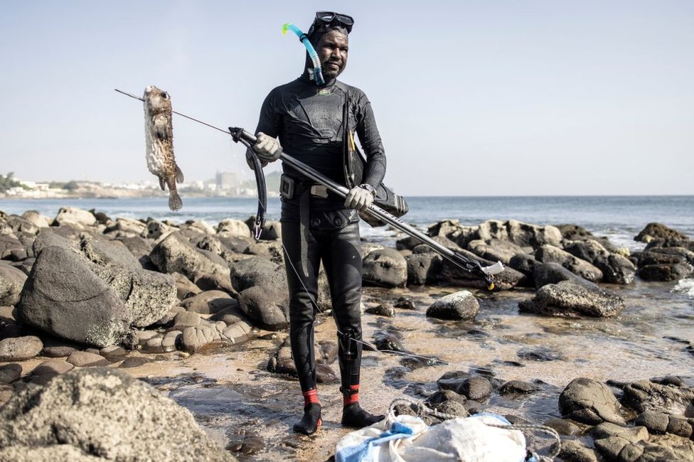 الصياد إبراهيم يلتقط صورة مع سمكة اصطادها في داكار