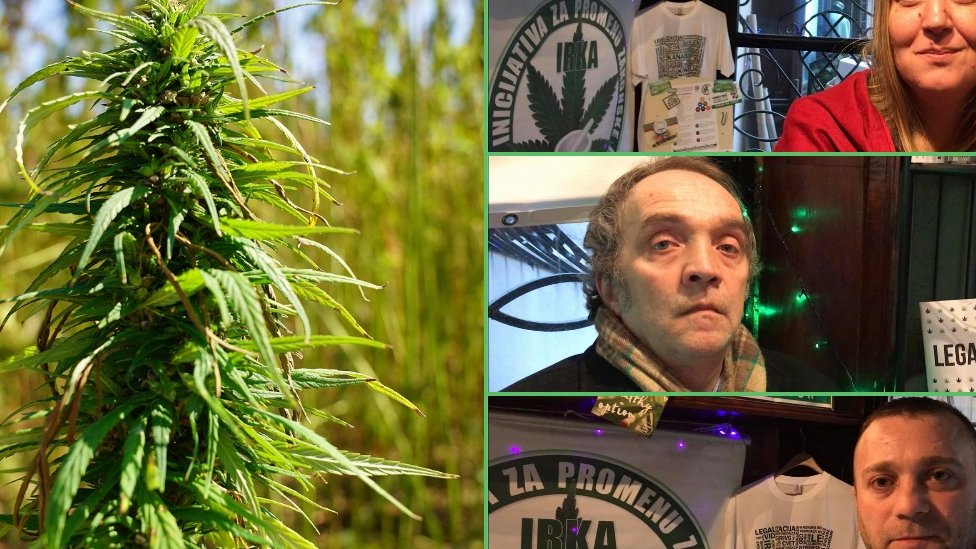 kanabis legalizacija u medicinske svrhe