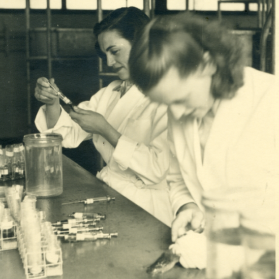 Тестирование на беременность с жабами в начале 1950-х в лаборатории NHS в Уотфорде. Одри вводит жабе мочу от, возможно, беременной женщины