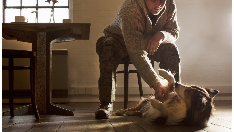 Homem brincando com cachorro