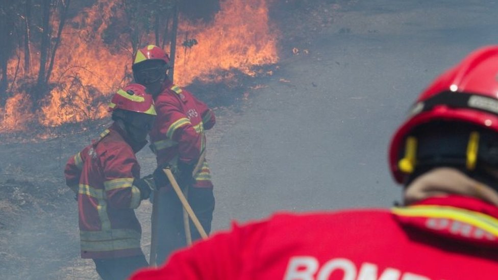 Пожарные борются с лесным пожаром в Фигейру-душ-Виньюш, центральная Португалия, 18 июня 2017 г.