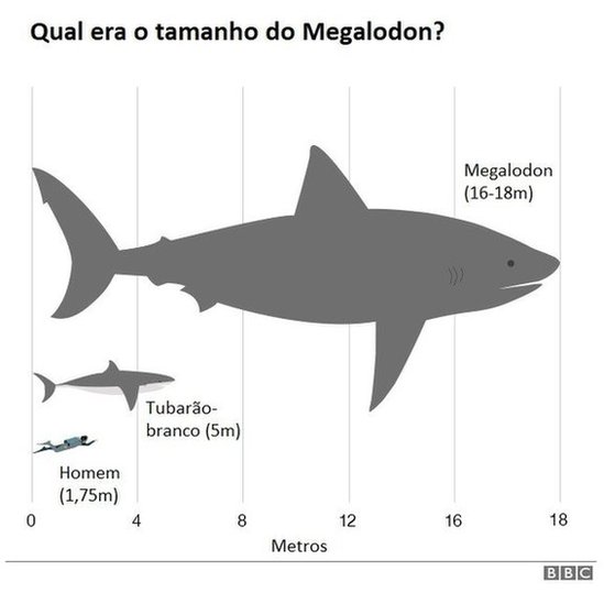 Gráfico comparando megalodon