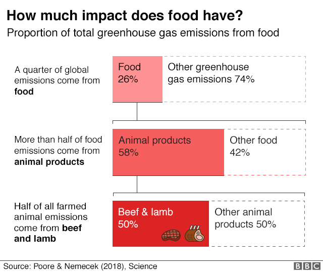 Диаграмма: четверть мировых выбросов парниковых газов приходится на продукты питания