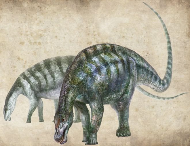 Ilustración de Lingwulong shenqi