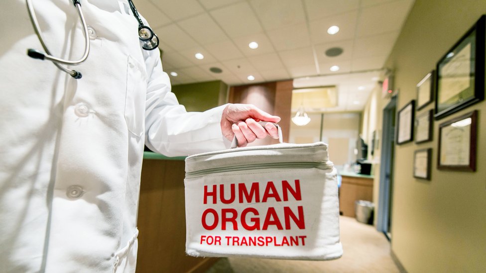 Nevera con órgano para transplante.