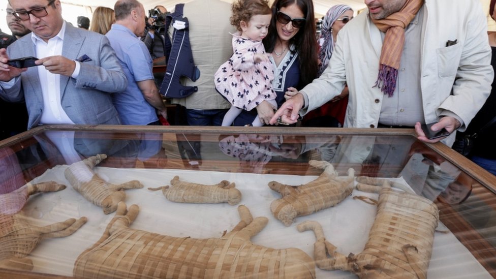 Momias de animales en exhibición en Egipto.
