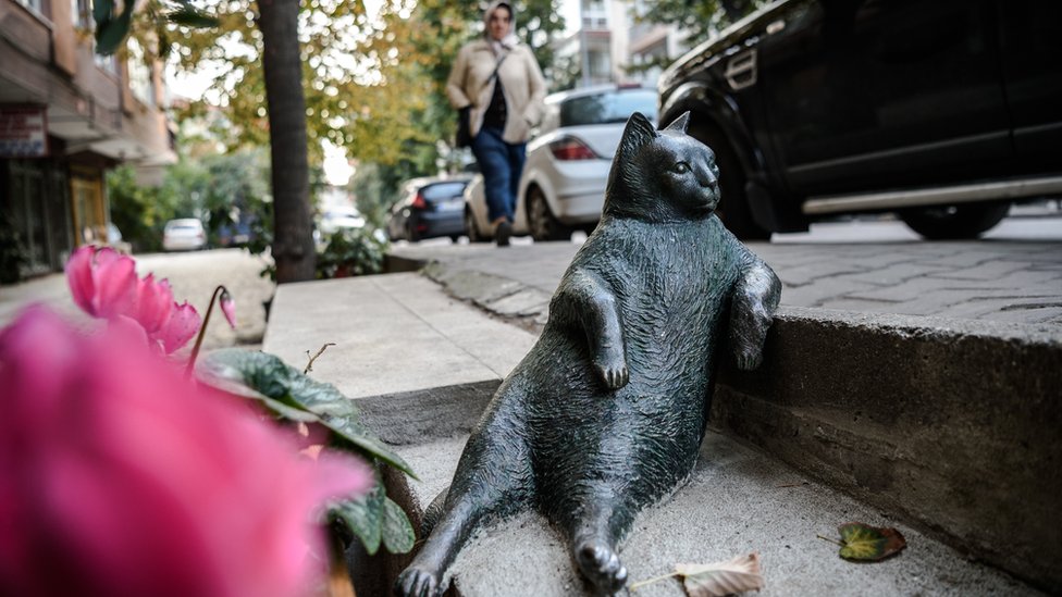 Kadıköy'deki Tombili heykeli