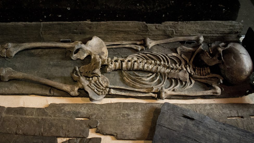 Viking Skeleton Goes On Display In York - BBC News