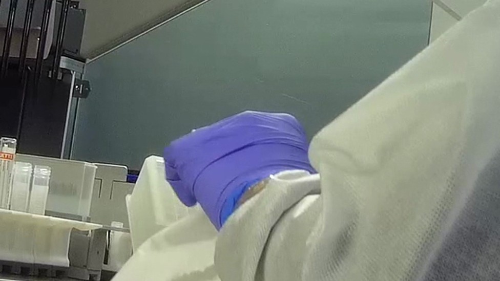 Technician cleaning a potentially contaminated testing plate with a tissue