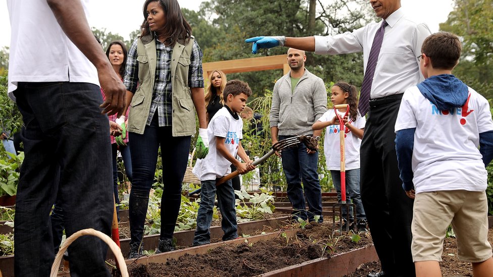 Первая леди Мишель Обама - работает в своем саду