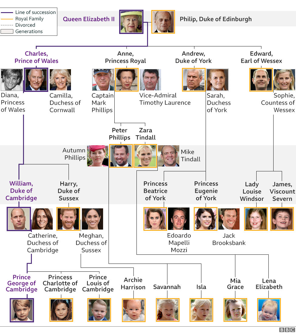 Royal Family Tree And Line Of Succession c News