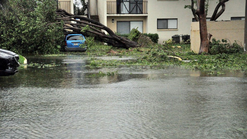 Casi 3 millones de personas se han quedado sin luz en Florida. Huracan Irma