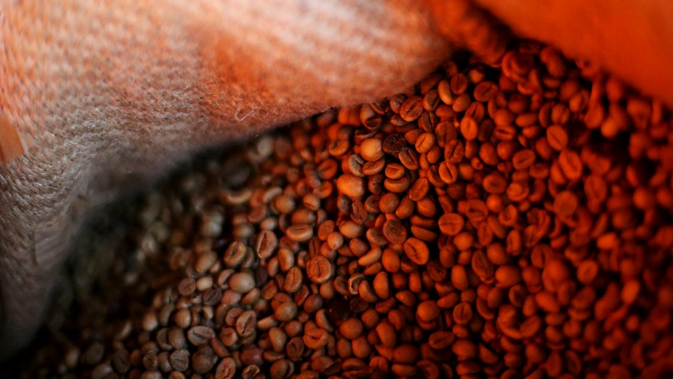 Coffee beans pictured inside a sack