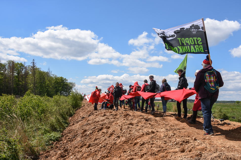 Демонстранты образуют красную линию на опушке леса