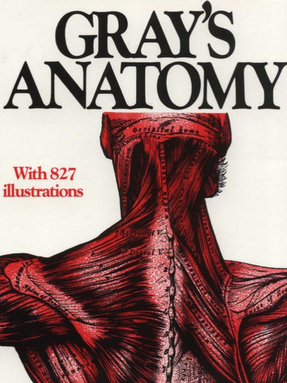 La obra de Henry Gray está ahora en la 41ª edición. Portada del libro Anatomía de Gray