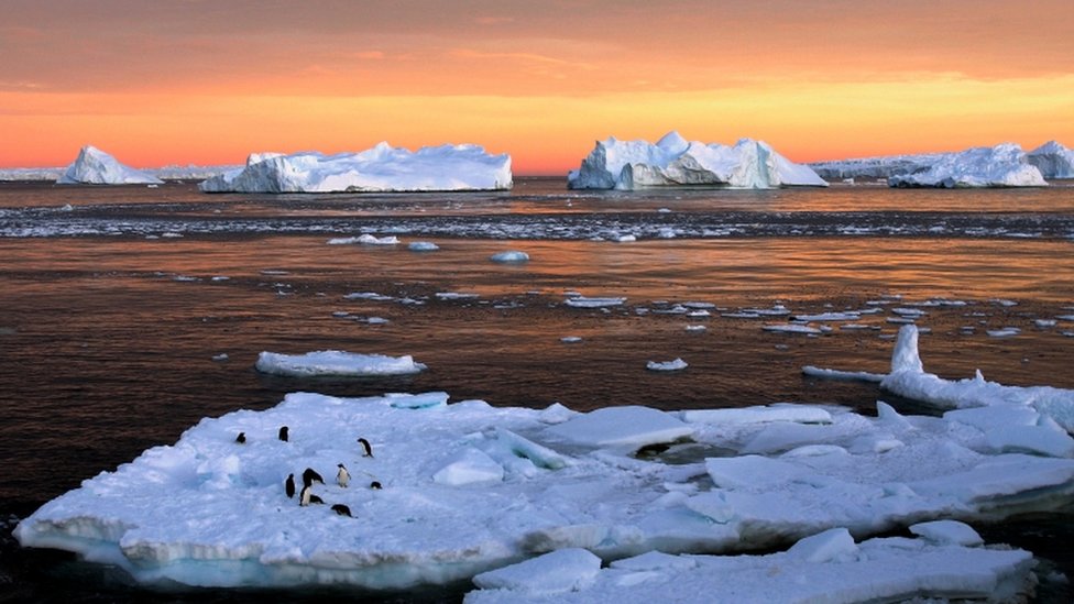 Pingüinos adelaida fotografiados en la estación francesa Dumont d'Urville, en el este de la Antártida. Ocaso con trozos de hielo