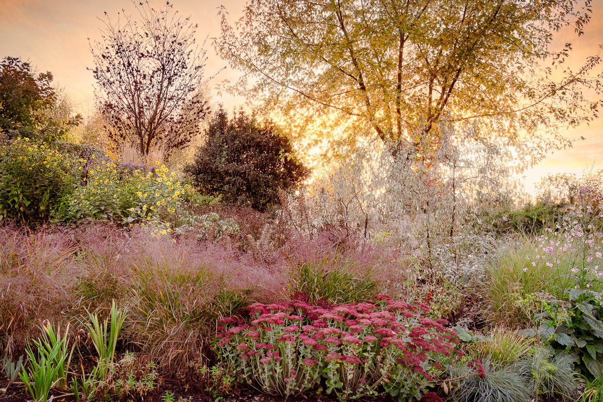 Private Garden, Suffolk, England, United Kingdom