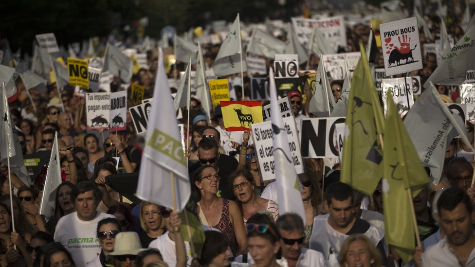 Протест против корриды в Мадриде. 10 сен 2016