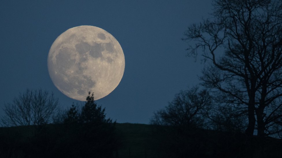 Las tribus originarias de América del Norte fueron las que bautizaron a las diferentes lunas llenas de acuerdo a su aparición en el año. Luna Llena de Lobo.